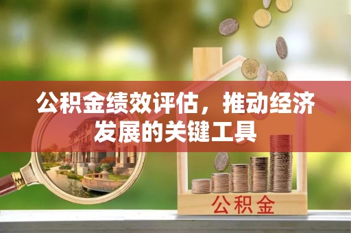 秀林公积金绩效评估，推动经济发展的关键工具