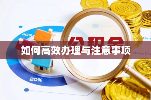 秀林如何高效办理与注意事项