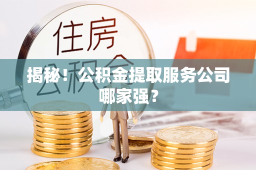 秀林揭秘！公积金提取服务公司哪家强？