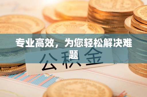 秀林专业高效，为您轻松解决难题
