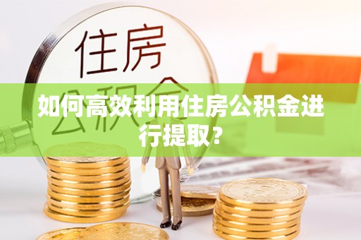 秀林如何高效利用住房公积金进行提取？