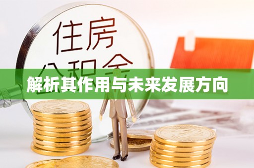 秀林解析其作用与未来发展方向